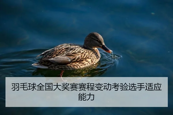 yu-mao-qiu-quan-guo-da-jiang-sai-sai-cheng-bian-dong-kao-yan-xuan-shou-shi-ying-neng-li-2-384.jpg